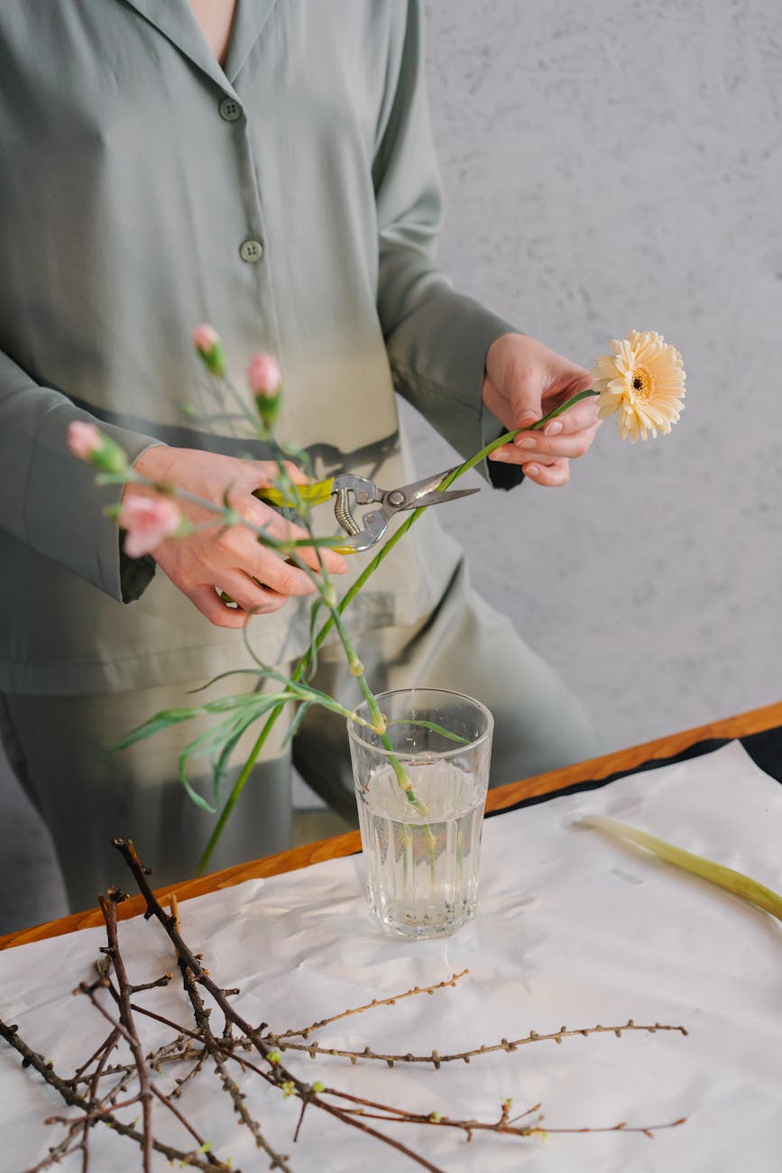 person holding white flower in clear glass vase